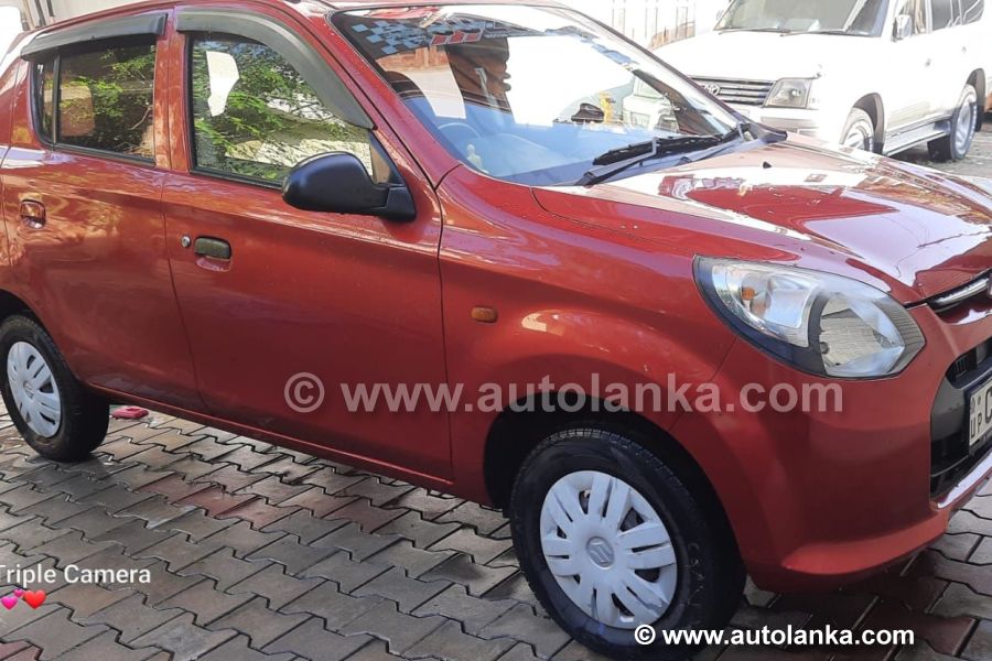 car suzuki alto 800