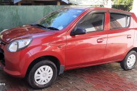 Suzuki Alto 800cc