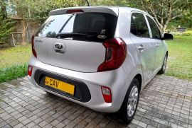 Kia Picanto 2017 for sale